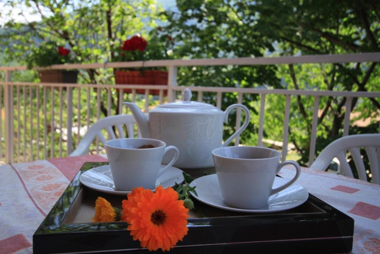 Apartman Vesna Virpazar Exterior foto