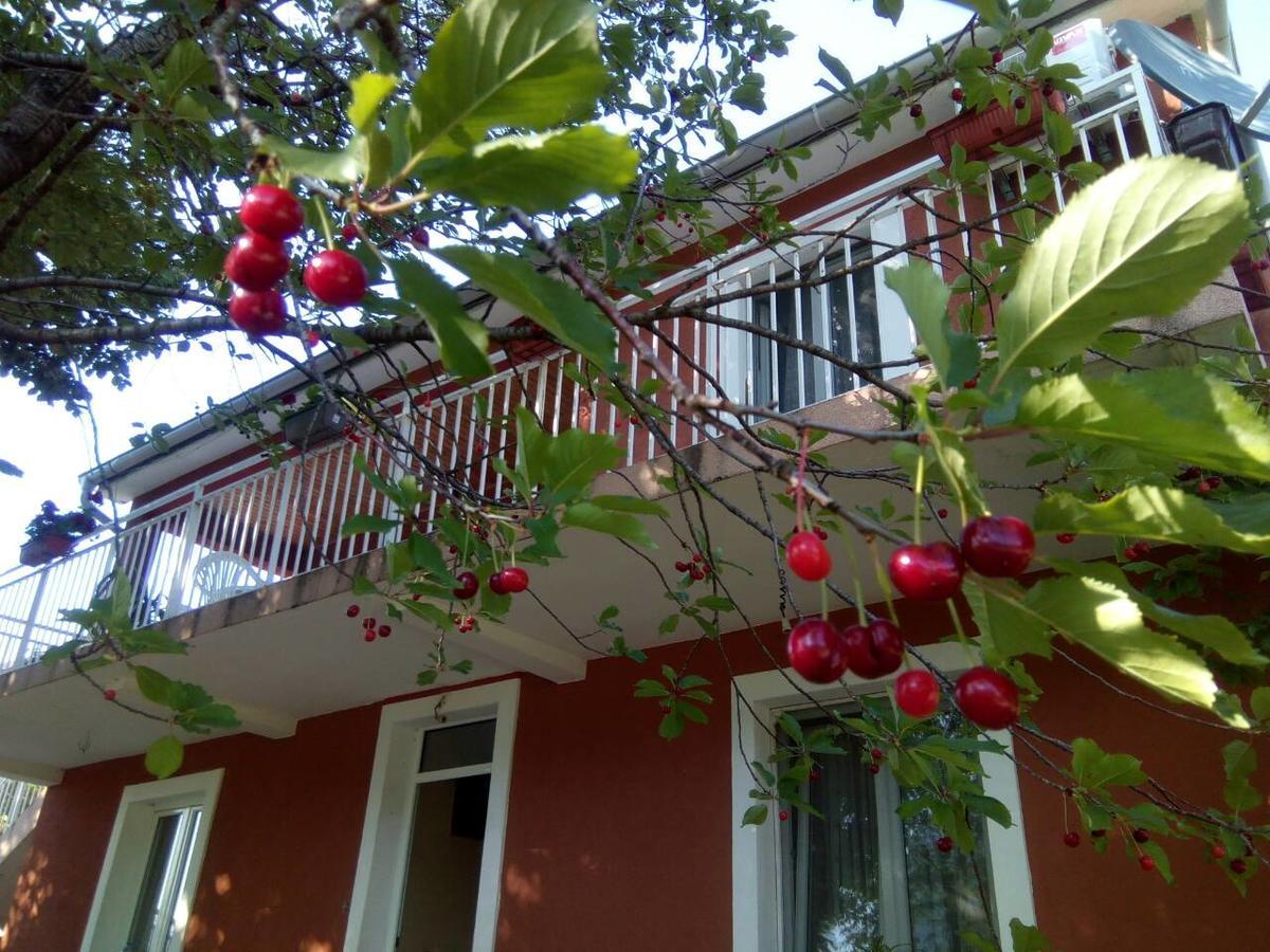 Apartman Vesna Virpazar Exterior foto